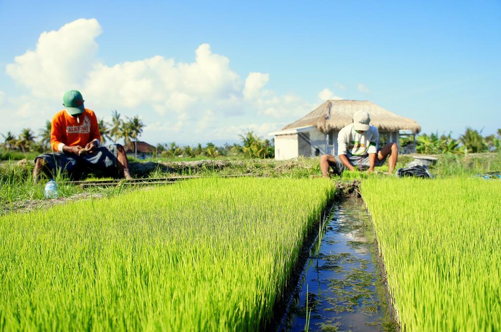 Barn N Bunk Hotel Gianyar  Exterior photo
