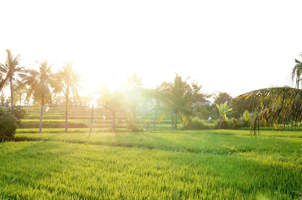 Barn N Bunk Hotel Gianyar  Exterior photo